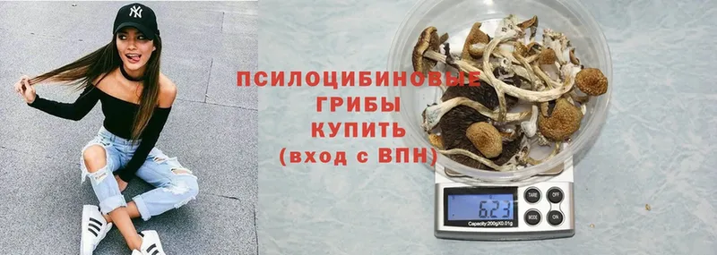 Псилоцибиновые грибы Magic Shrooms  Межгорье 